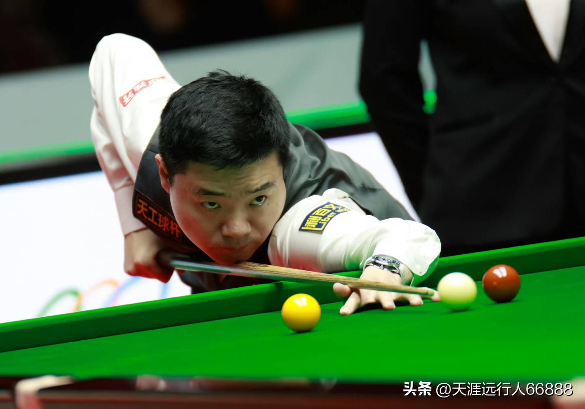 体育政策的 体育政策的