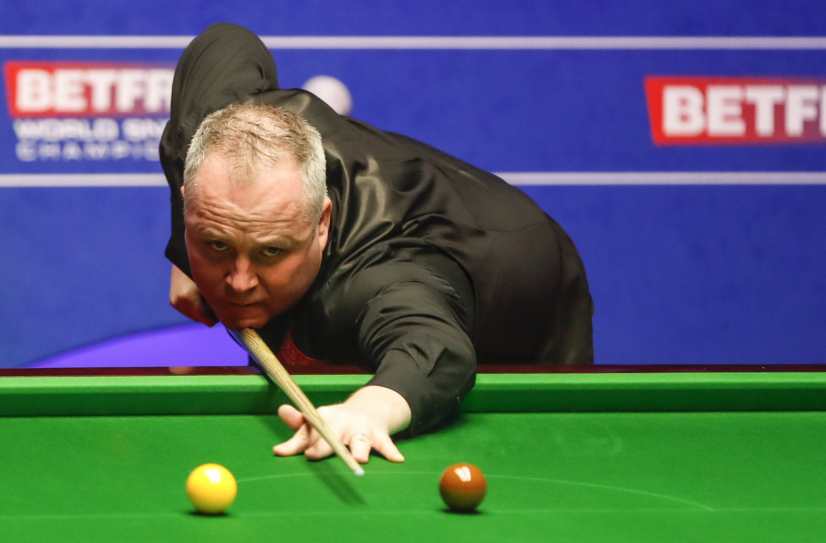 升起的新星 升起的新星