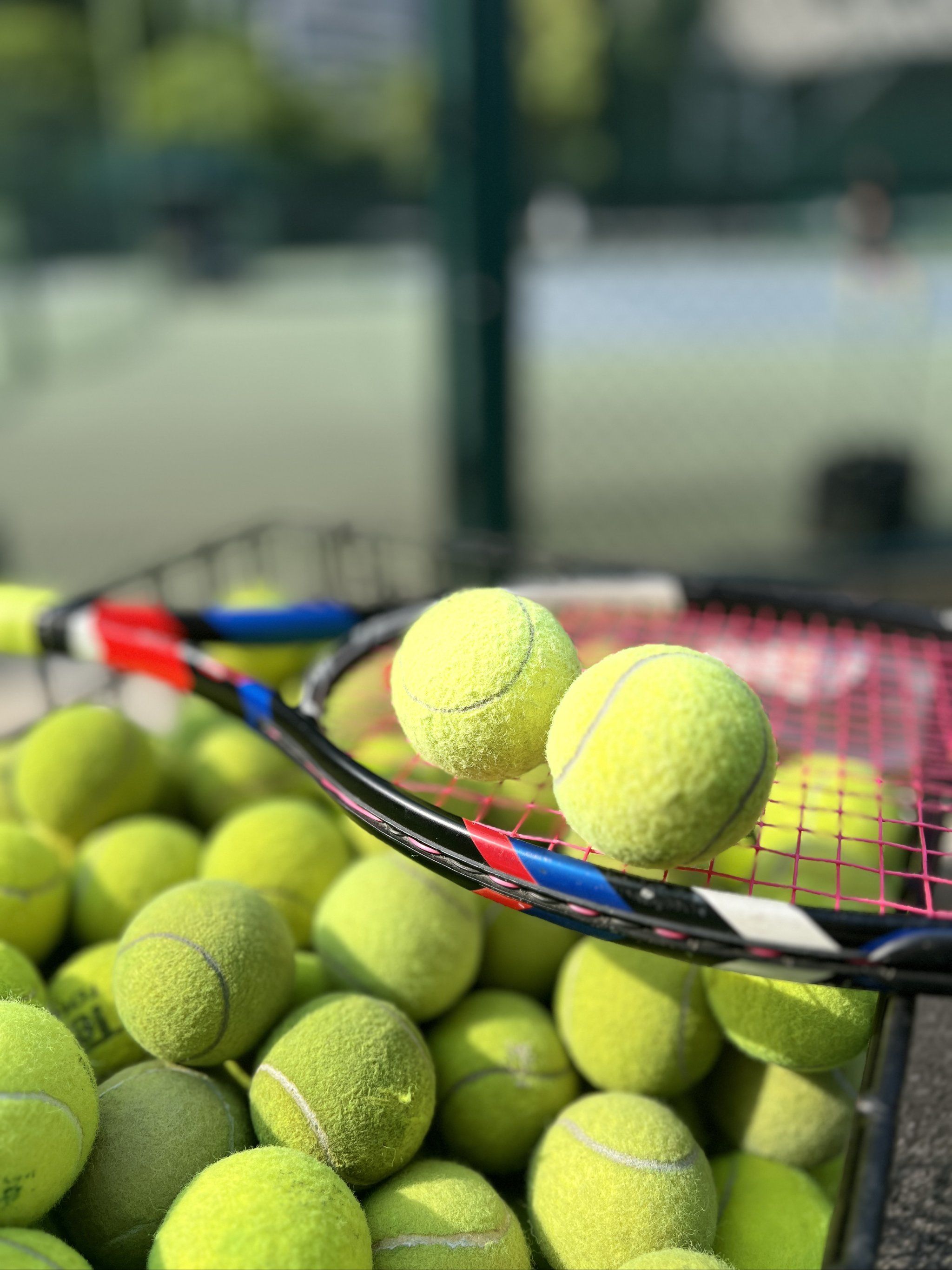 开拓者利用 开拓者利用